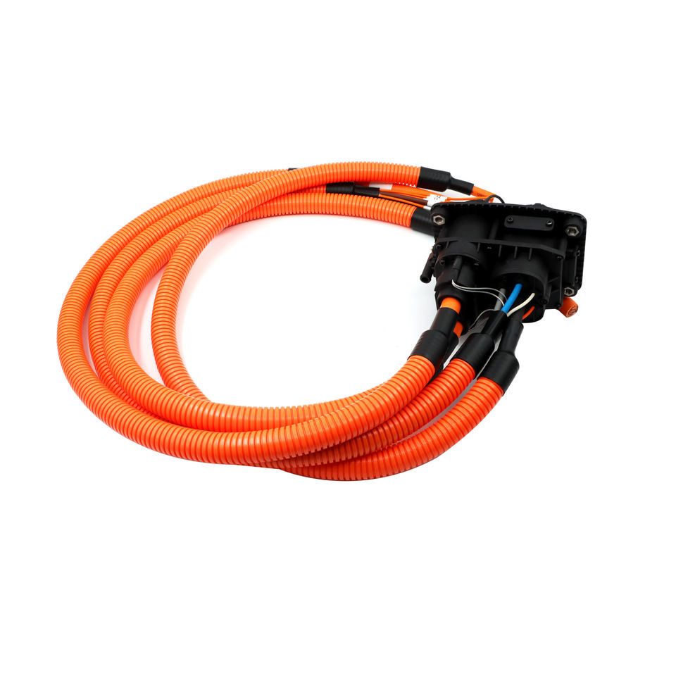 Custom Automotive Harness Design
